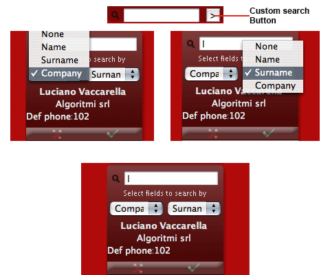 custom search